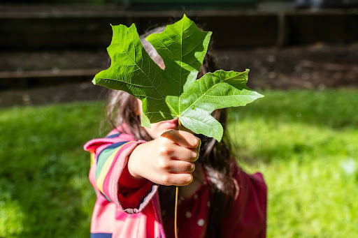 How To Make an Immediate Difference to Help Combat Climate Change