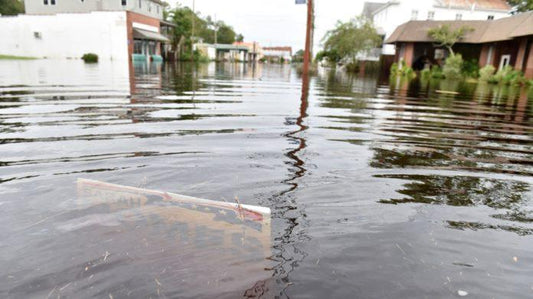 Recovering From Hurricanes: 5 Things You Can Do to Help