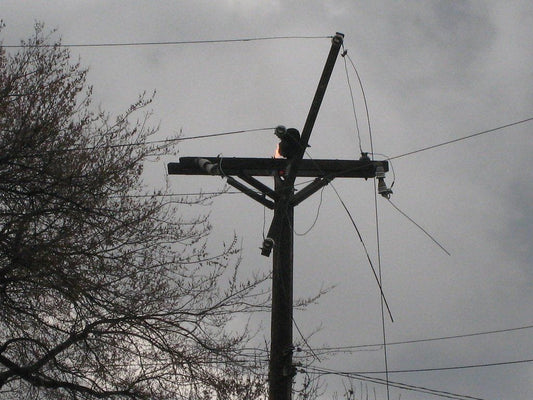 Riding Out a Power Outage With Solar