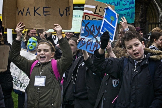 What Comes After the Global Climate Strike