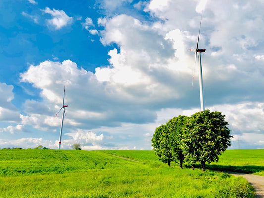 The Ultimate Guide to Socially Responsible Investing