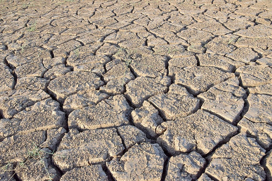 2019 Was The World's 2nd Hottest Year - Here's What to Do About It