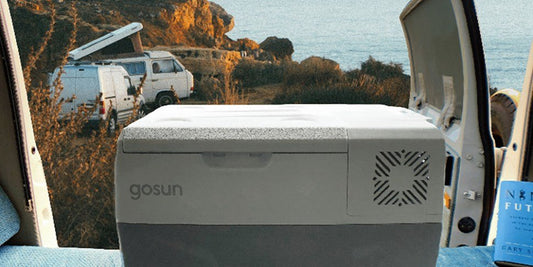 What is the Best Portable Electric Refrigerator?
