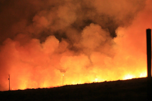Best Way To Avoid Inhaling Smoke in Fire-Ravaged Areas