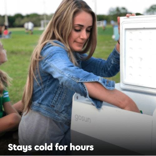 Chill + SolarPanel 30 Electric Cooler + 30W Solar Charger GoSun