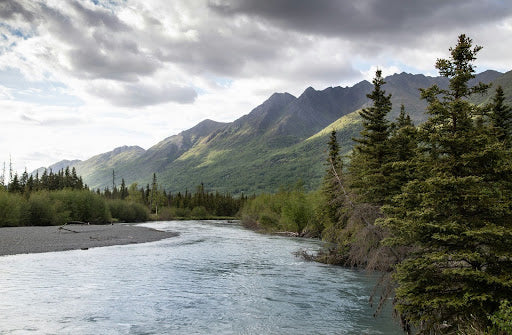 Living Off-Grid in Alaska: The Ultimate Guide