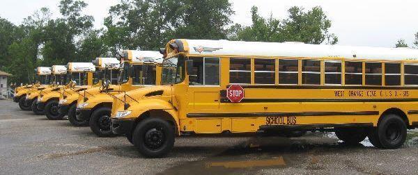 Why The Chill and School Buses Both Have White Tops