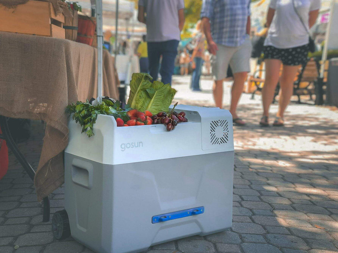 The GoSun Chill Uses Half The Energy of a Car Fridge