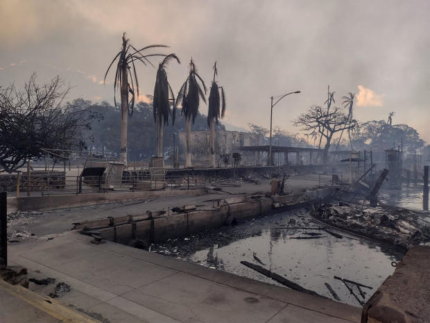 Hawaii Devastated by Fire