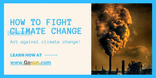 How to Fight Climate Change