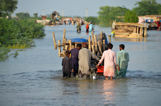 How Gosun Solar Products can Alleviate Climate Change Suffering and Provide Independence and Resilience