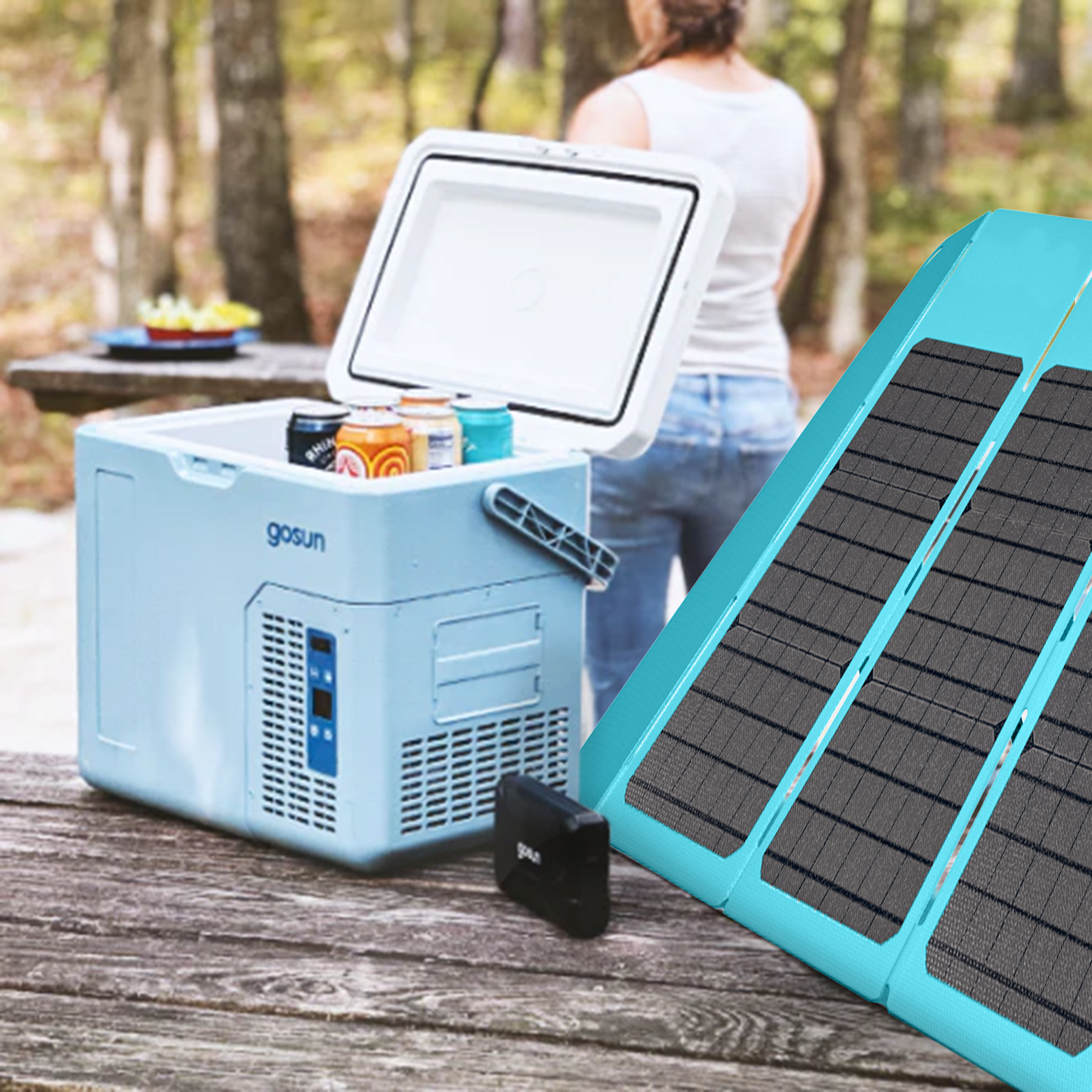 Solar powered portable cooler hotsell