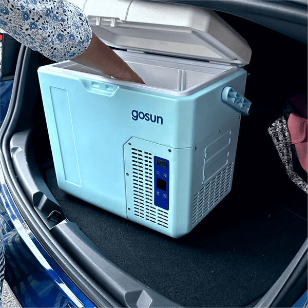 Solar Powered Ovens, Coolers, Chargers & More | GoSun