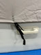 Elcat Boat Cover