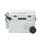 electric cooler