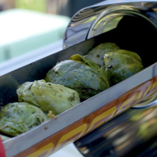 solar oven camping